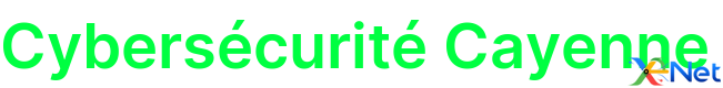 Cybersécurité Cayenne